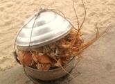crab-nha-trang-beach