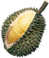 sau  rieng durian nha-trang-vietnam