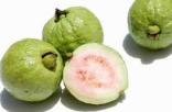 guava-nha-trang-vietnam